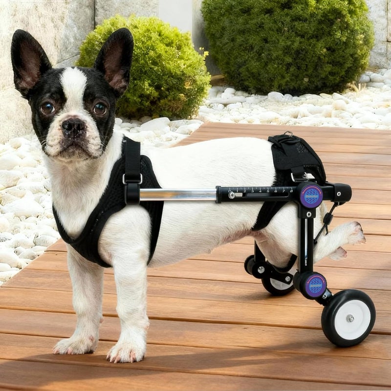 LetPetRun Adjustable Dog Wheelchair for Back Legs Mobility Support Lightweight Pet Wheelchair for Disabled Hind Legs Walking Stable Dog Cart for Pets - Image 1